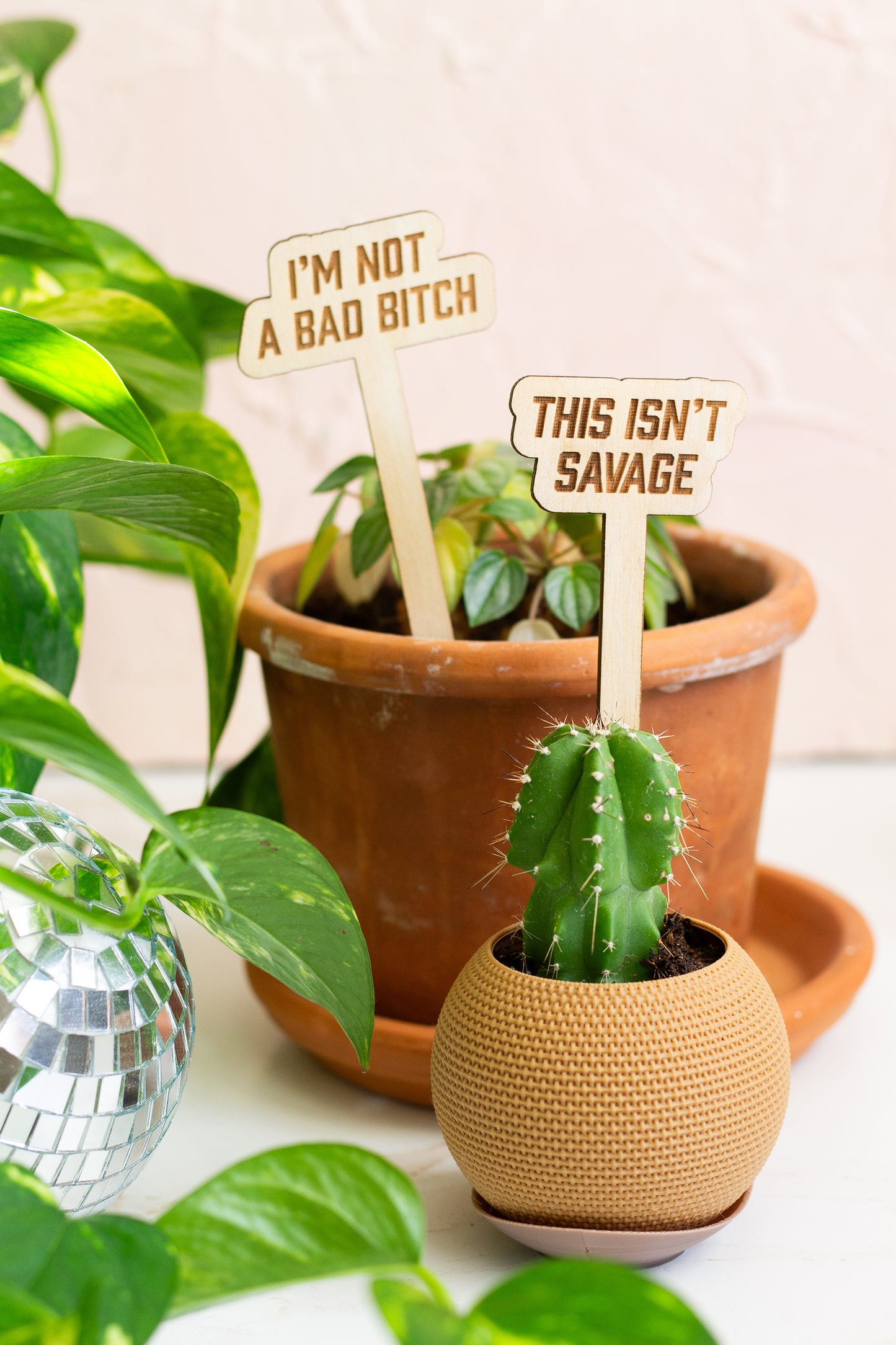 Potted plants with humorous plant sticks in front of a neutral background