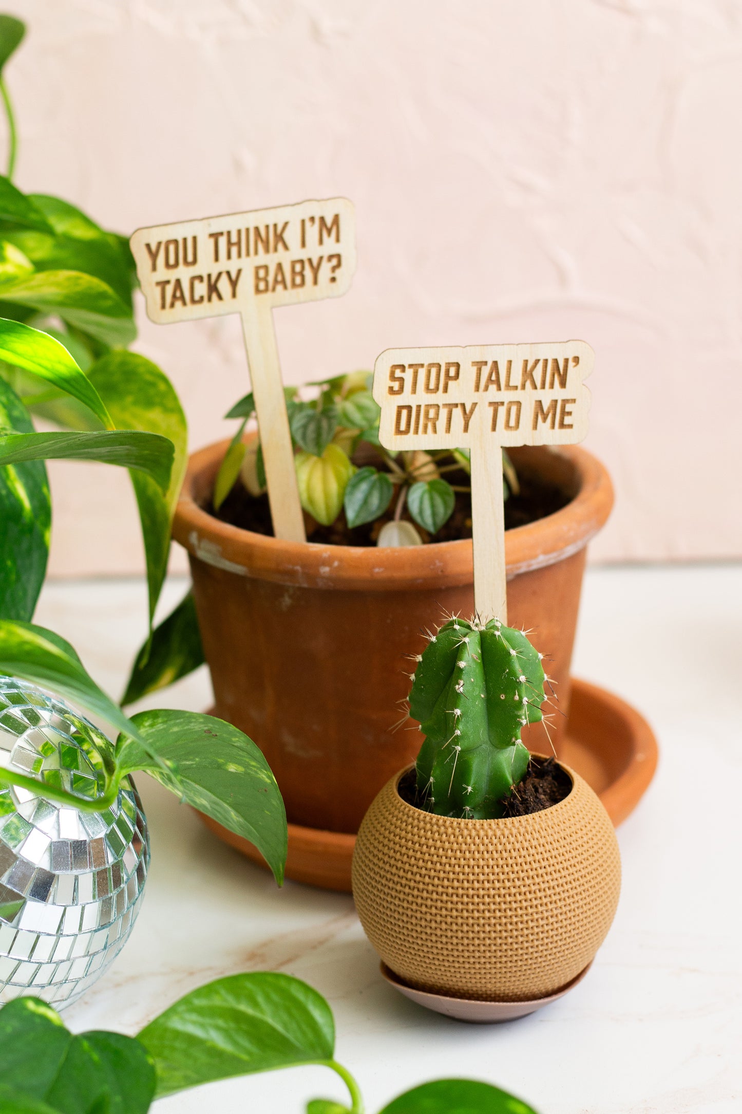Funny wooden plant signs