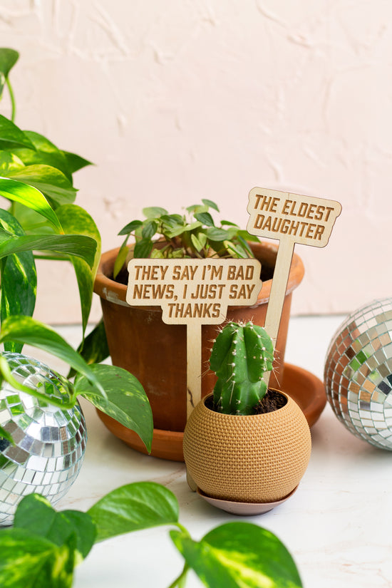 Plant stakes for houseplants