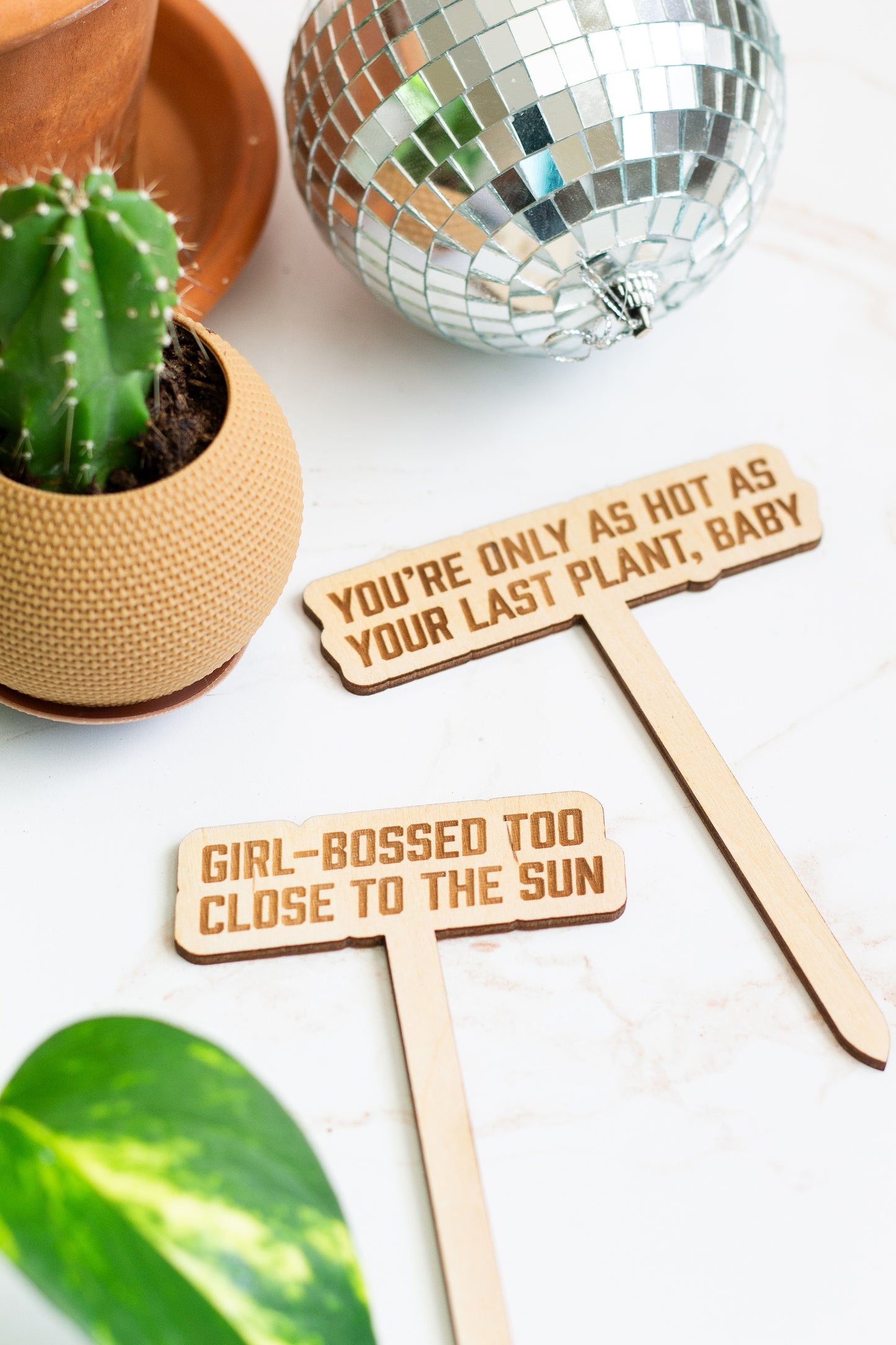 Funny engraved plant signs