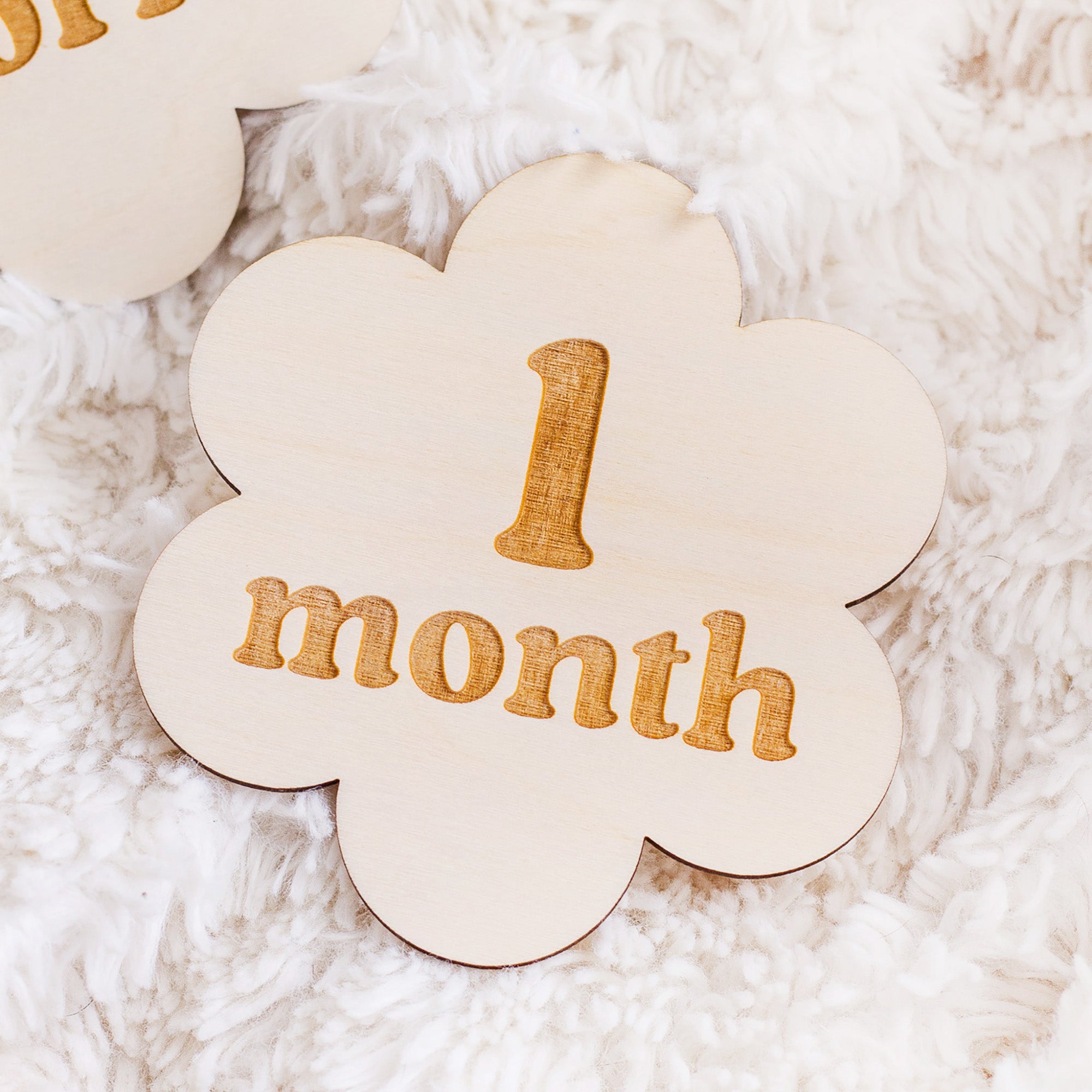 Flower Baby Milestone Signs – The Print Pantry