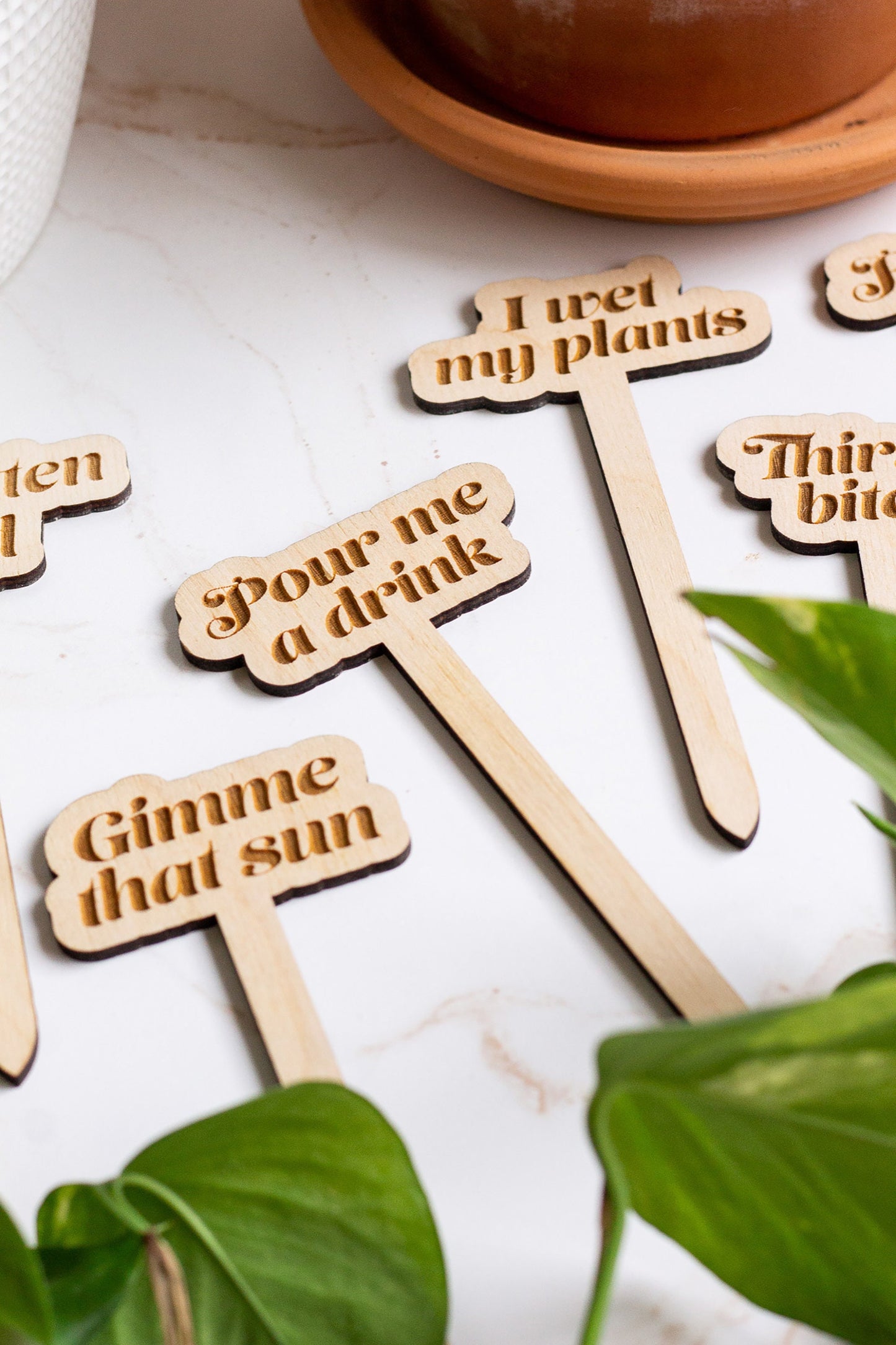 Funny Wooden Plant Markers