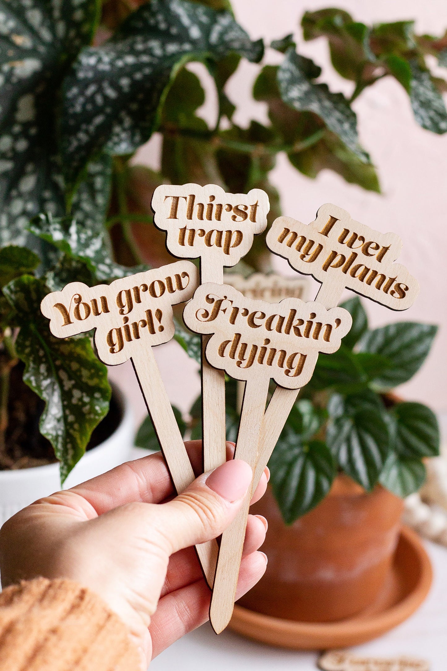 Funny Wooden Plant Markers