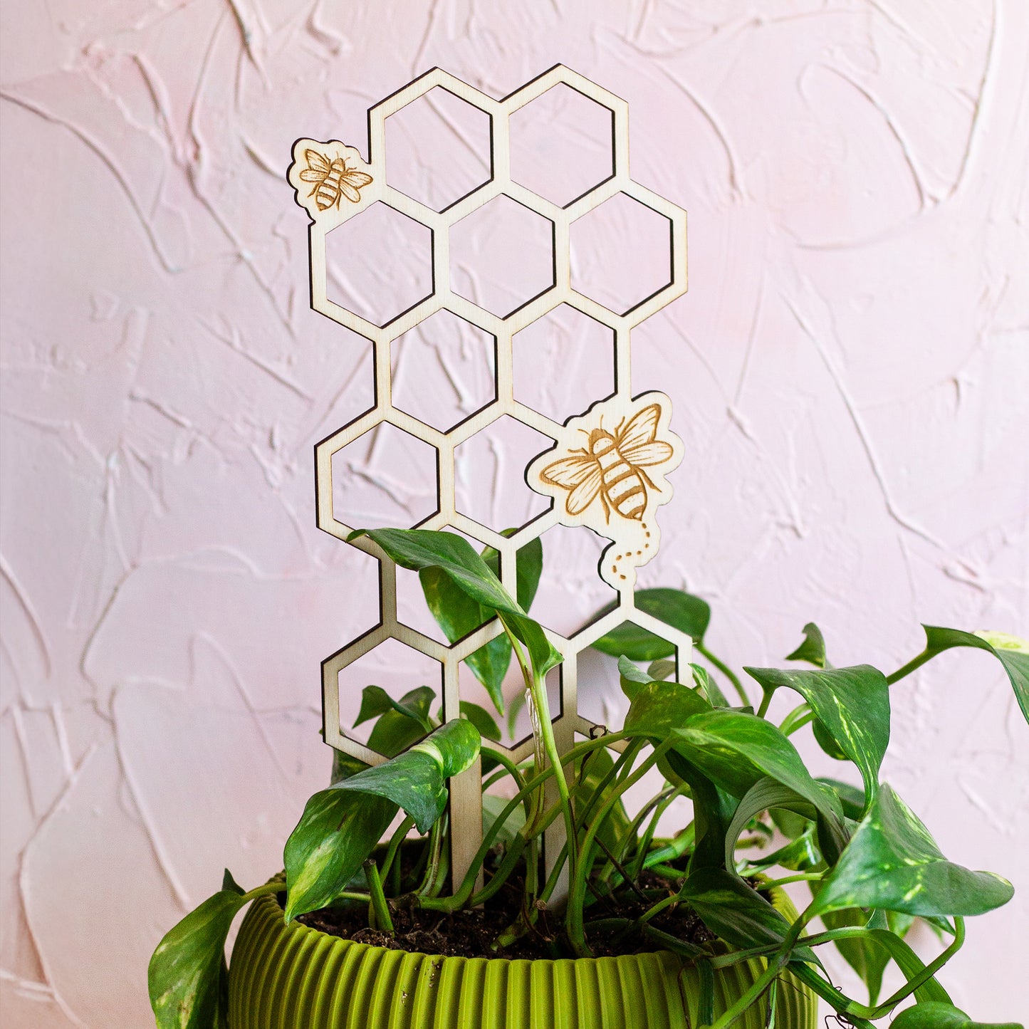 Honeycomb Wooden Plant Trellis