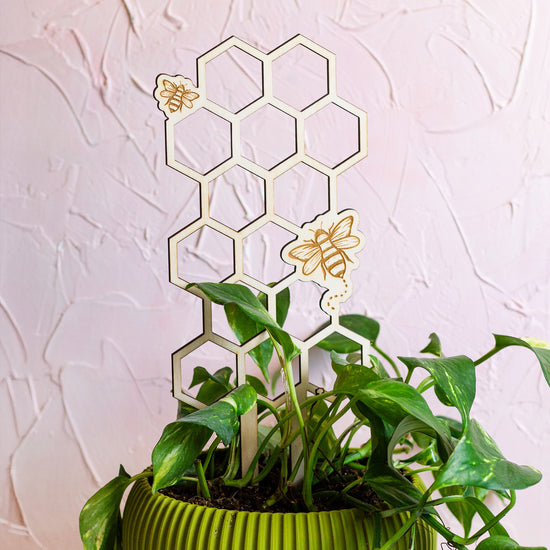 Honeycomb Wooden Plant Trellis
