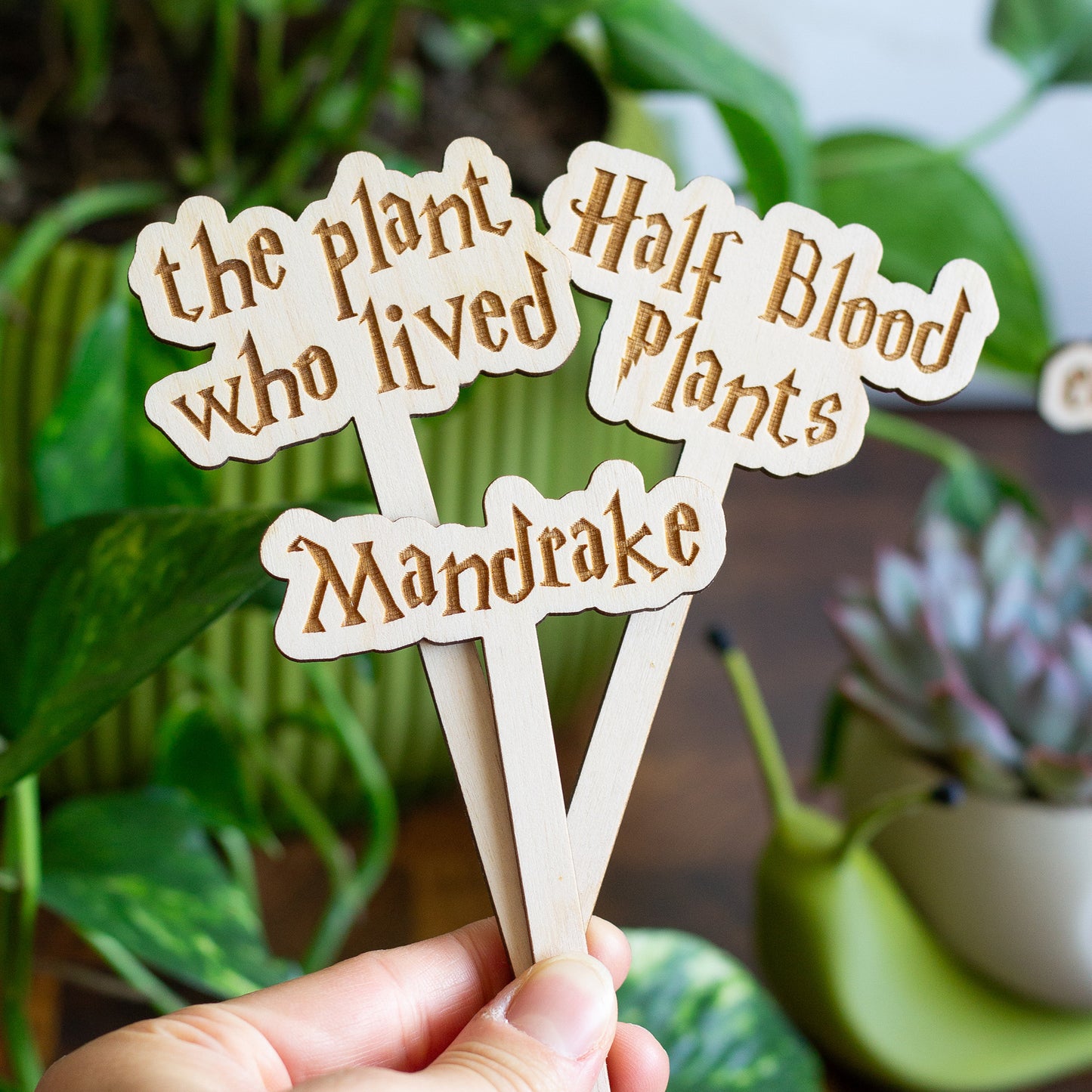 Harry Potter Wooden Plant Markers