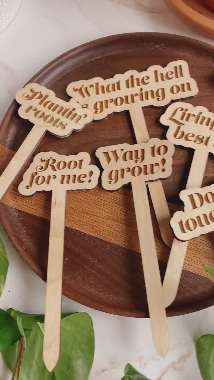 Load and play video in Gallery viewer, Funny Wooden Plant Markers
