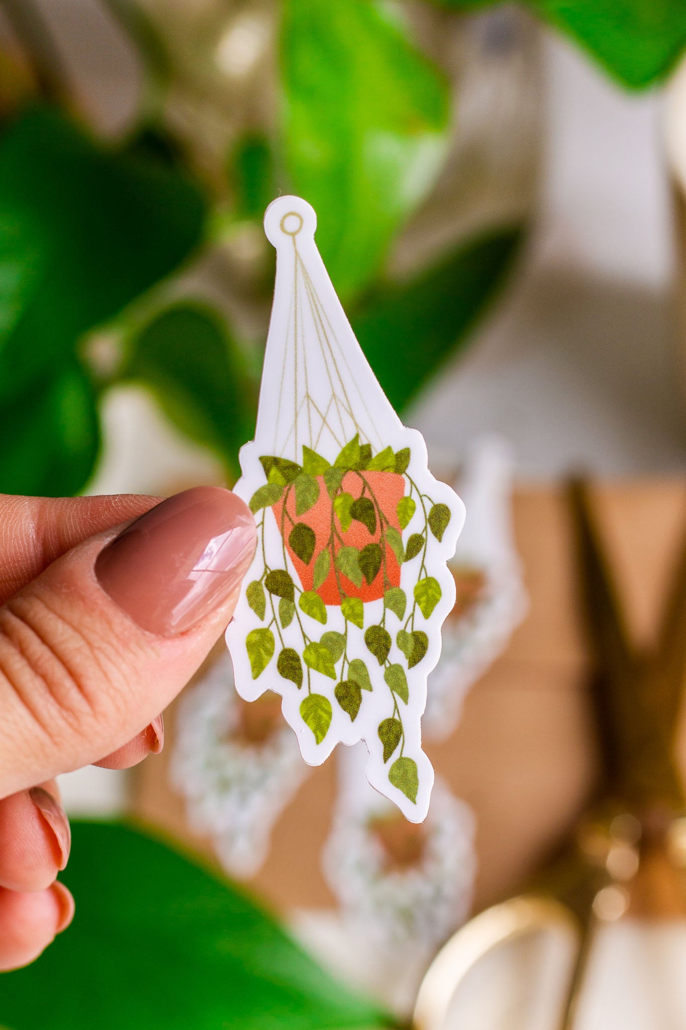 hanging plant stickers Hanging Plant Sticker – The Print Pantry