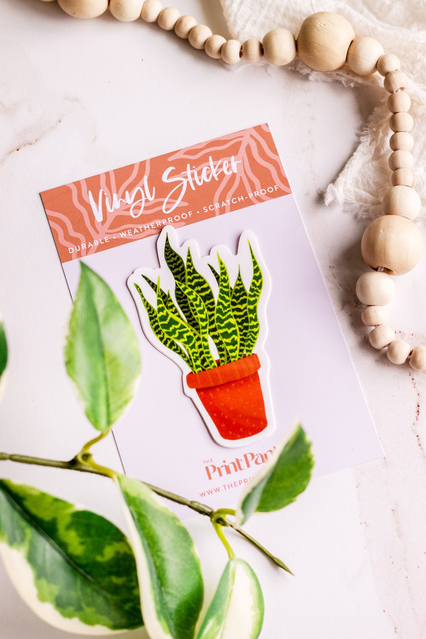 Snake Plant Vinyl Sticker laying on it's informational sticker backing card