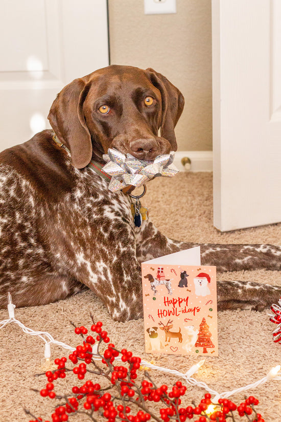 Load image into Gallery viewer, Happy Howl-idays Greeting Card
