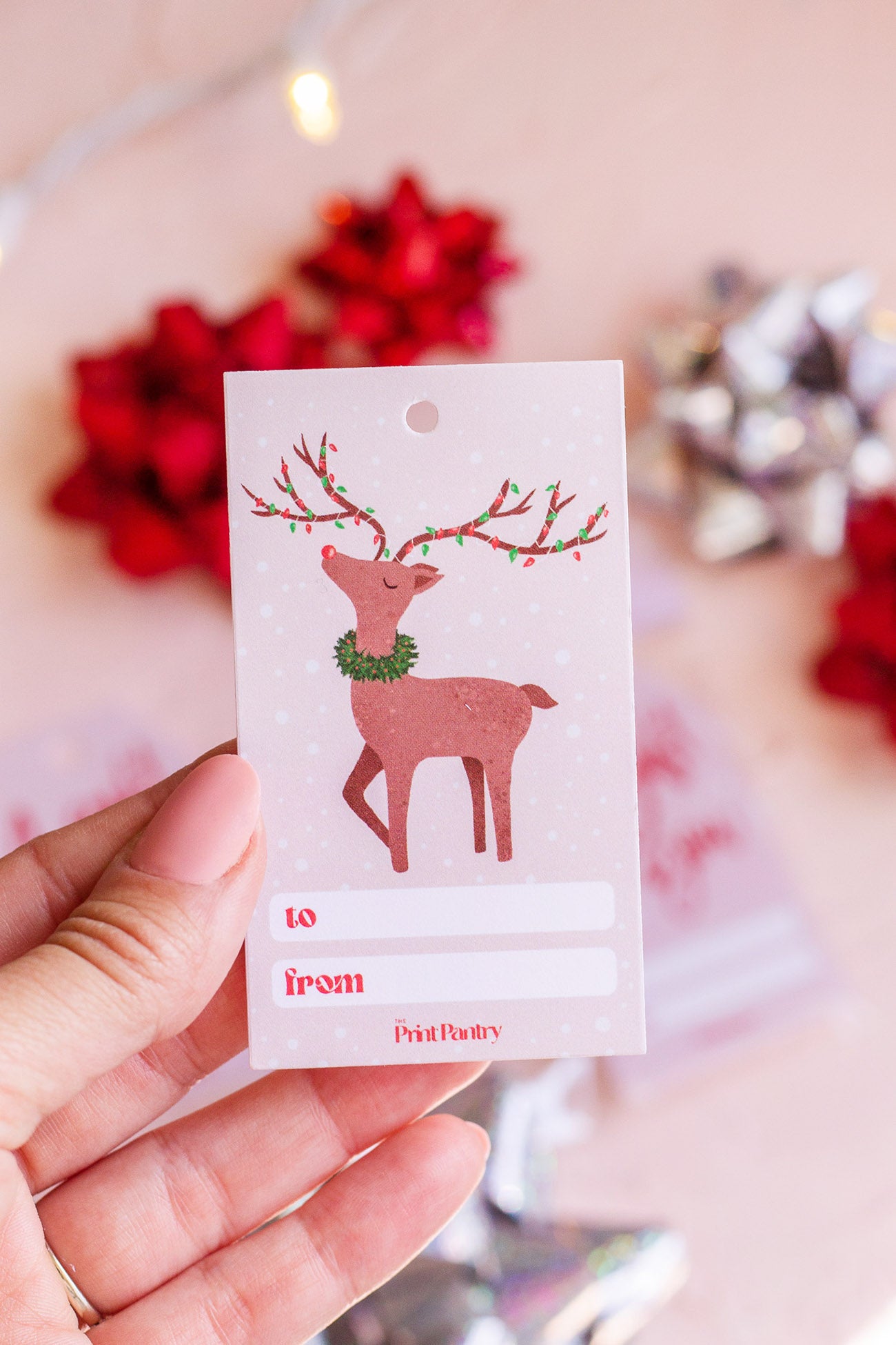 Festive Reindeer Gift Tag Set