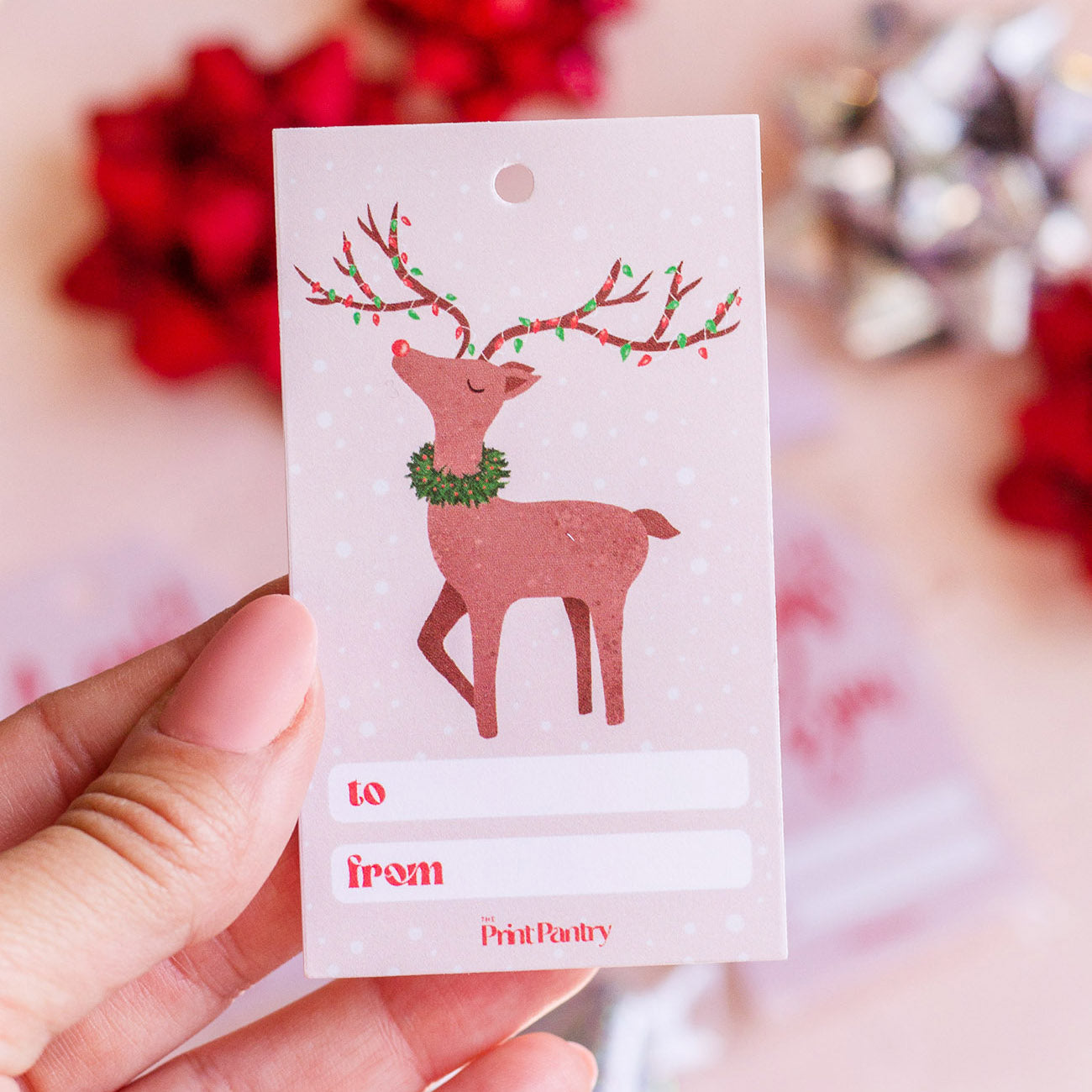 Festive Reindeer Gift Tag Set