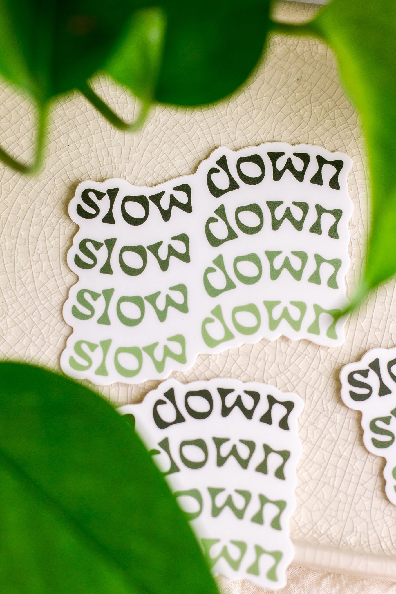 Slow Down Vinyl Sticker on a decorative tray with plants surrounding it