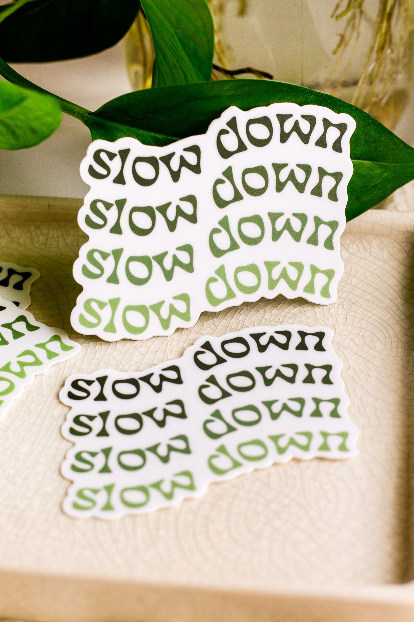 Slow Down Vinyl Sticker leaning against a house plant