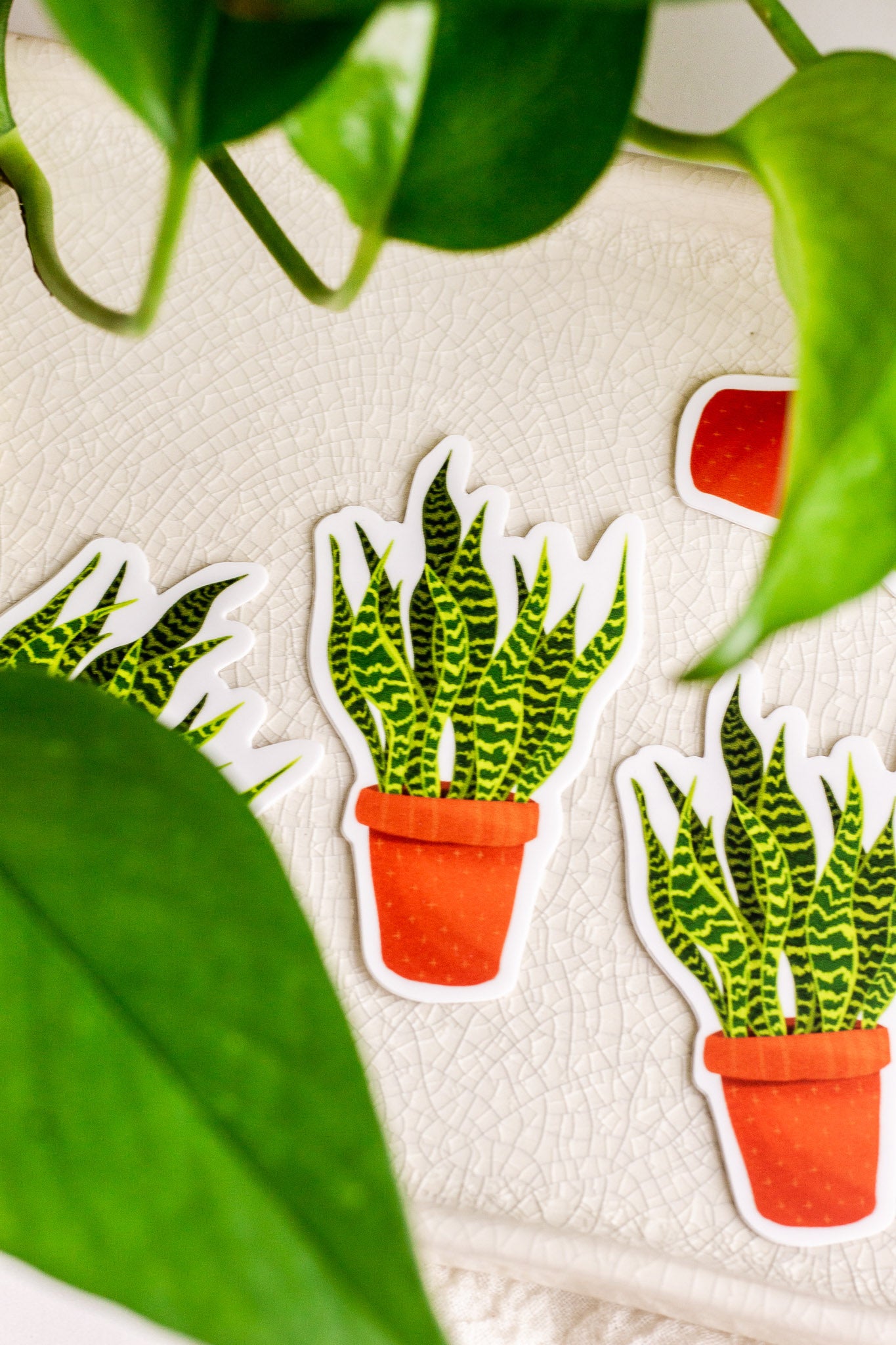 snake plant sticker Snake Plant Sticker – The Print Pantry