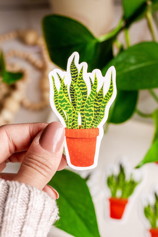 Woman holding a Snake Plant Vinyl Sticker in front of plants and home decor