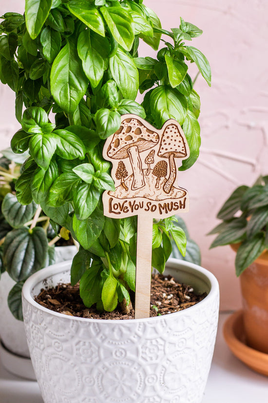 Wooden Plant Accessories