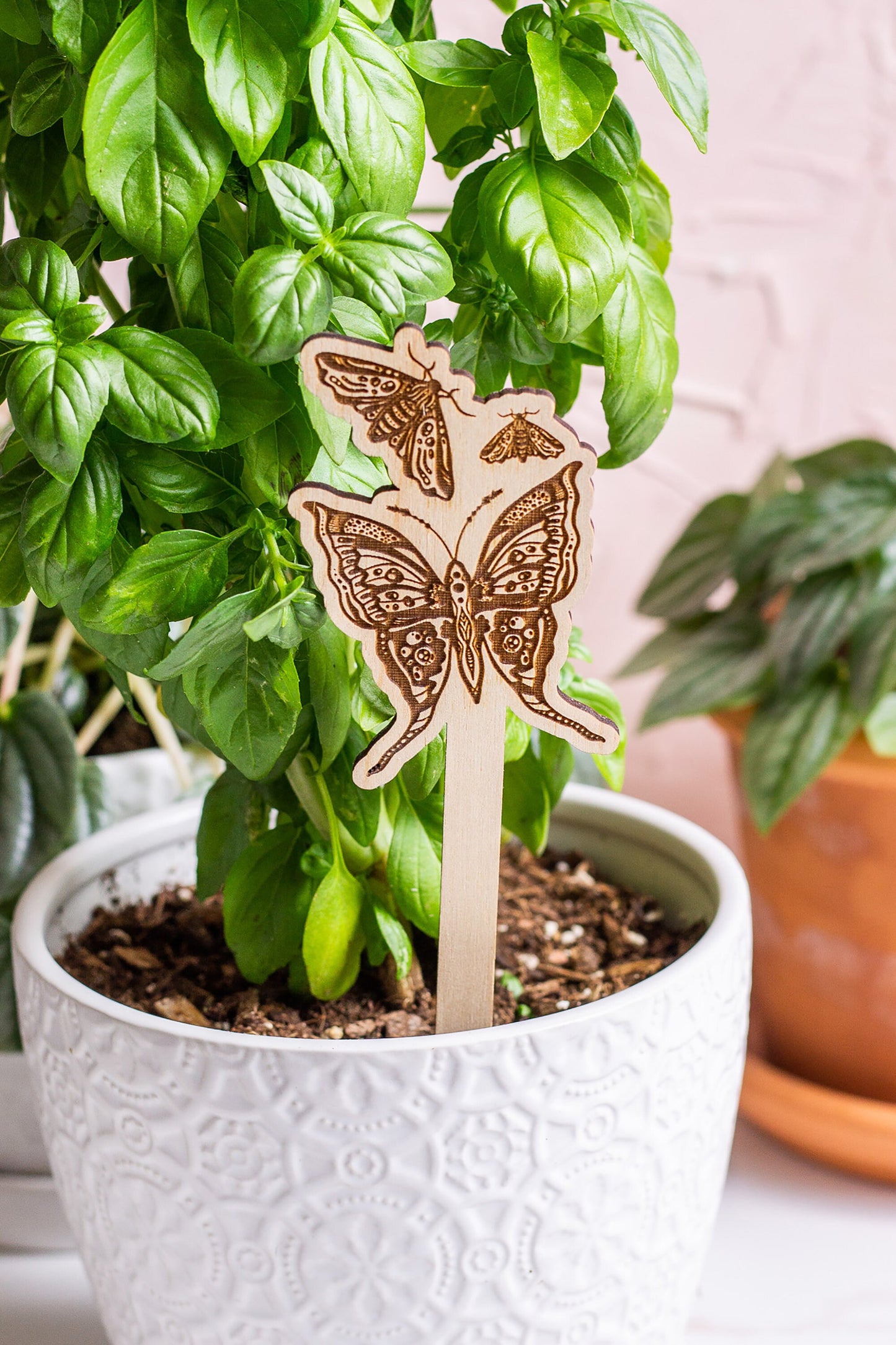 Load image into Gallery viewer, Butterfly Wooden Plant Stake
