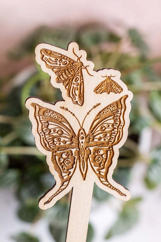 Moth Wooden Plant Stake